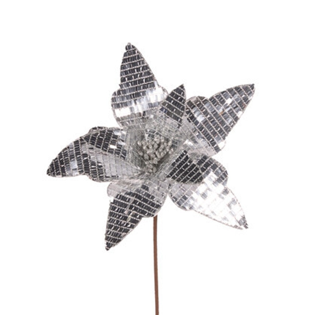 Silver disco poinsettia flower