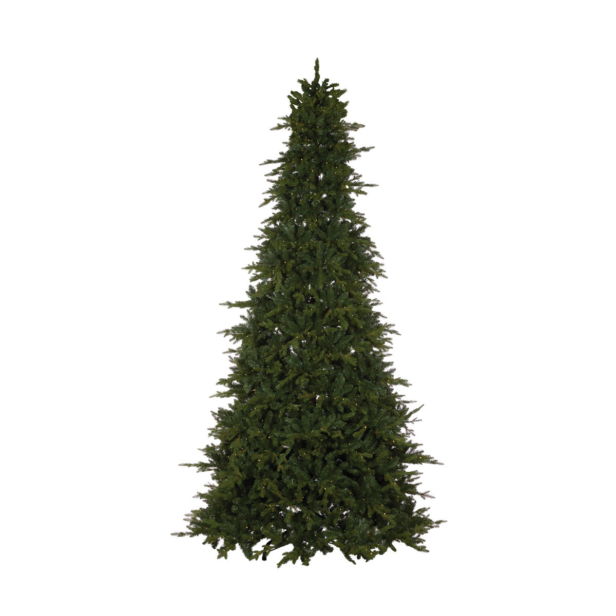 Tree Grand Fir Pr-Lit 3m