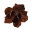 Chocolate brown clip-on magnolia flower