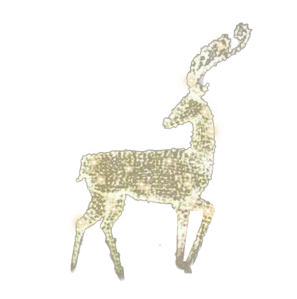 Deer Blitzen 3D Outdoor Light 2m - Christmas Decorations Brisbane