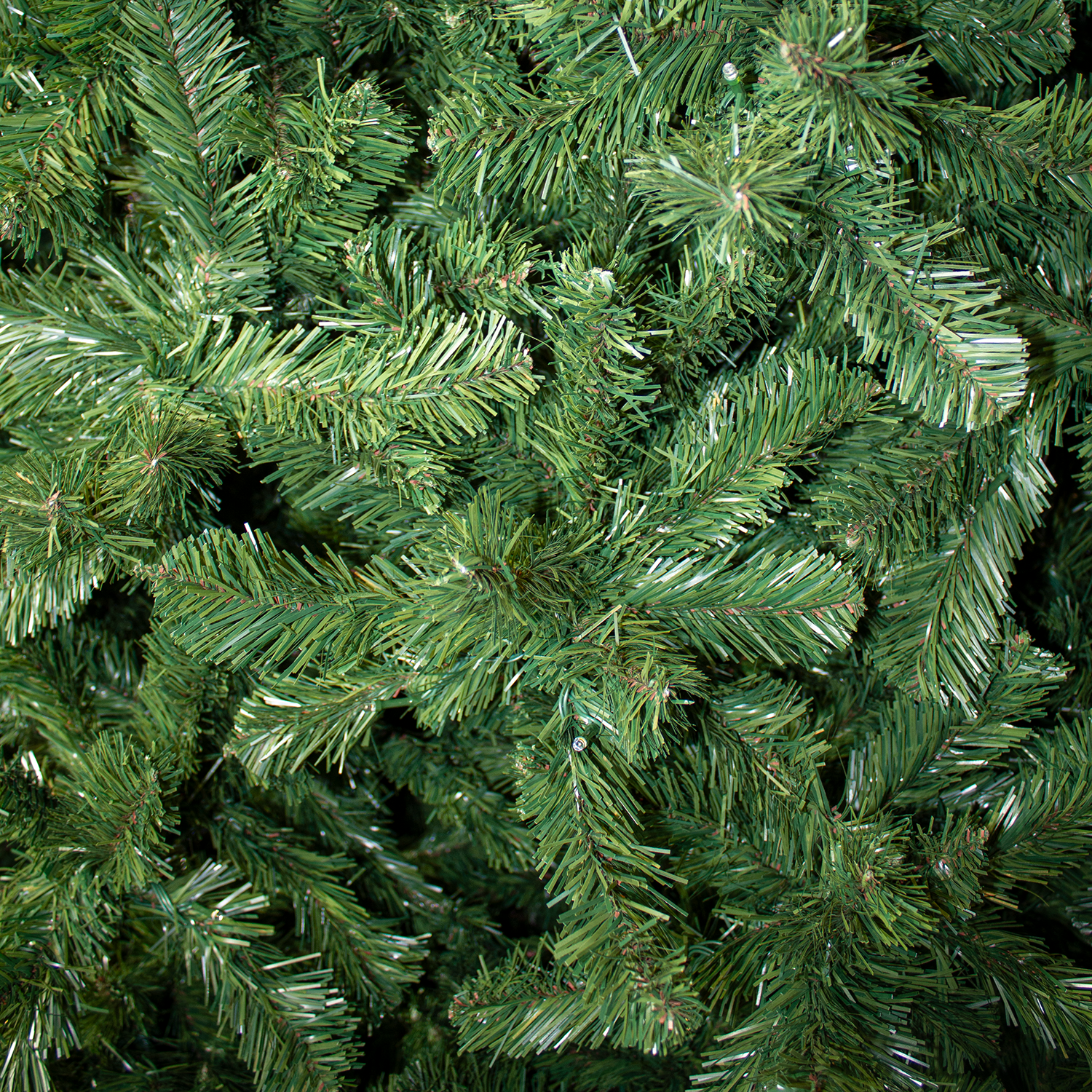 Tree Nordic 3m