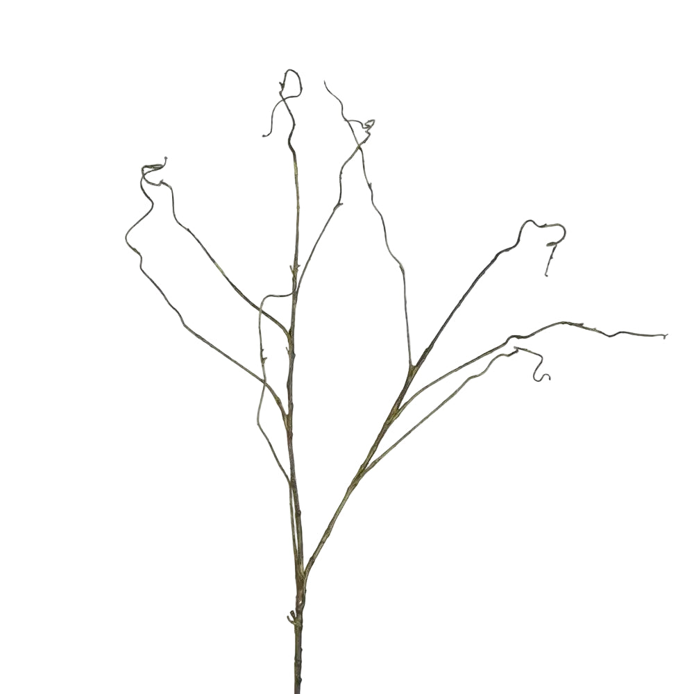 Pick Curly Twig Dark Brown 114cm - Christmas Decorations Brisbane