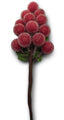 Pick Berry Bunch Frosted Red 15cm