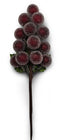Pick Berry Bunch Frosted Burgandy 15cm