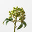 Pick Mini Green Berry's 29cm - Christmas Decorations Brisbane