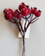 Pick Mini Pomegranate Berry 16cm