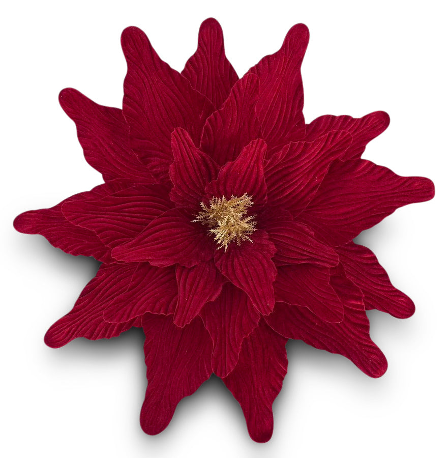 Poinsettia Red Velvet Gold 50cm - Christmas Decorations Brisbane