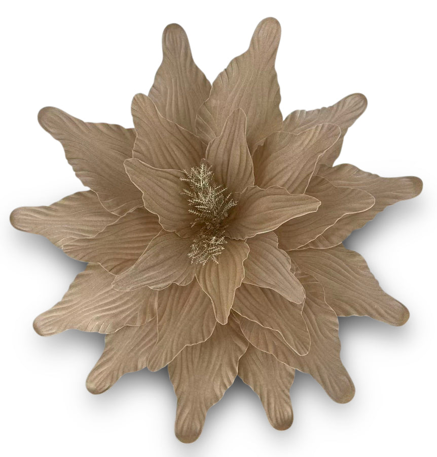 Poinsettia Champagne Velvet Gold 50cm - Christmas Decorations Brisbane