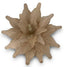 Poinsettia Champagne Velvet Gold 50cm - Christmas Decorations Brisbane