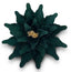 Poinsettia Emerald Velvet Gold 50cm - Christmas Decorations Brisbane