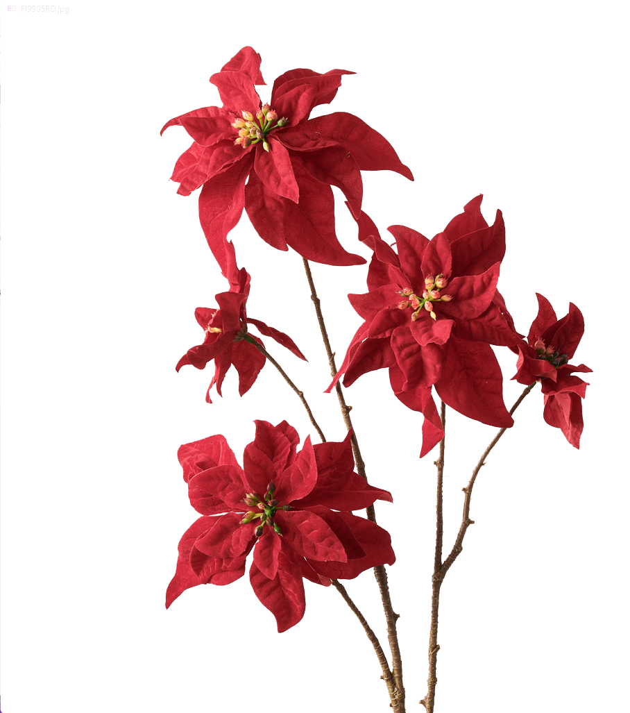 Spray Red Poinsettia Flower Large 67cm - Christmas Decorations Brisbane