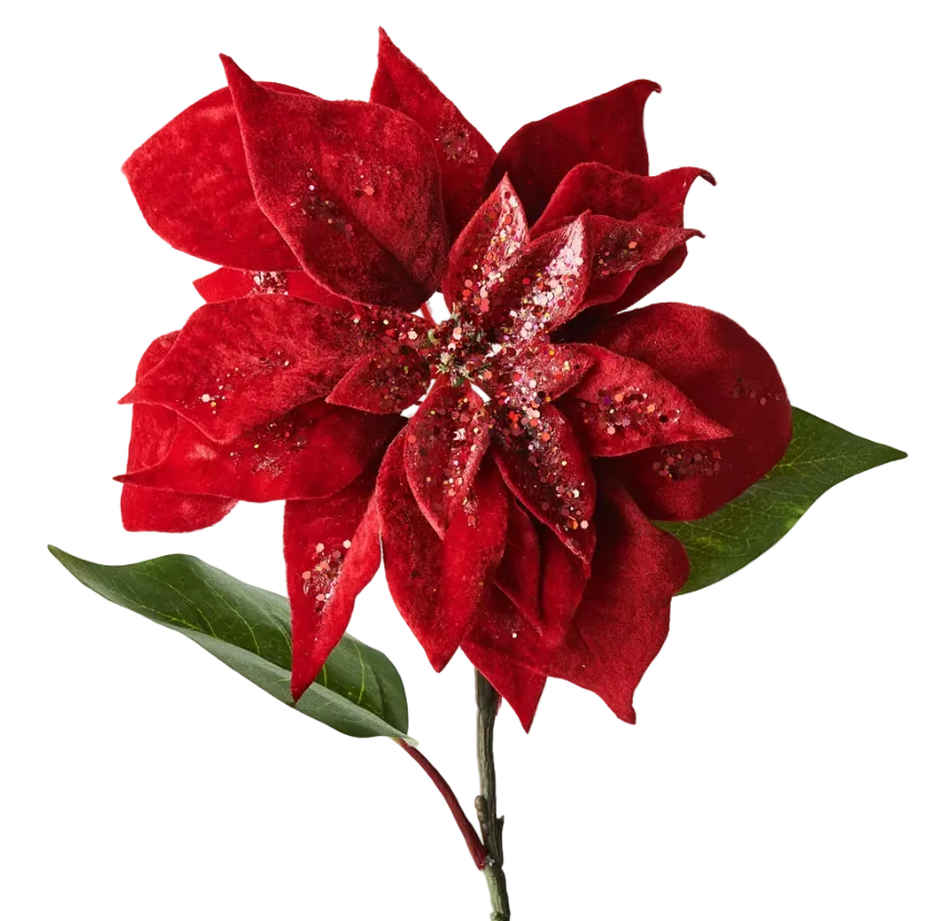 Poinsettia Flower Red Velvet Glitter 71cm - Christmas Decorations Brisbane