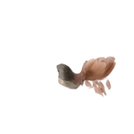 Bird Clip-On Dusky Rose 27cm - Christmas Decorations Brisbane