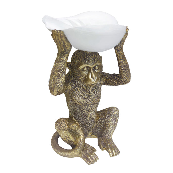 Monkey Gold w/ Shell on Head 29cm