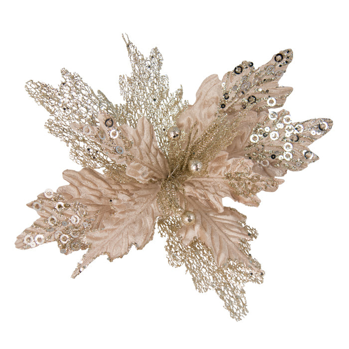 Poinsettia Flower Champagne Glitter Clip On 30cm