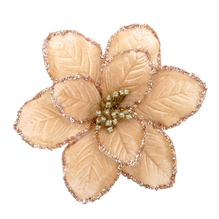 Poinsettia Flower Champange Glitter Clip On 22cm