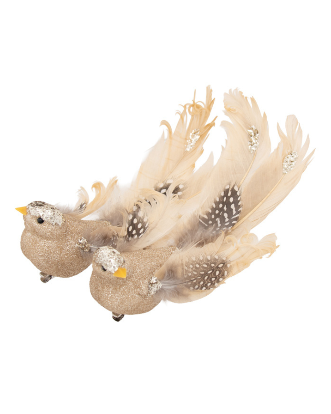 Birds Glitter Champagne with Spotted Tail Clip On Two 20cm