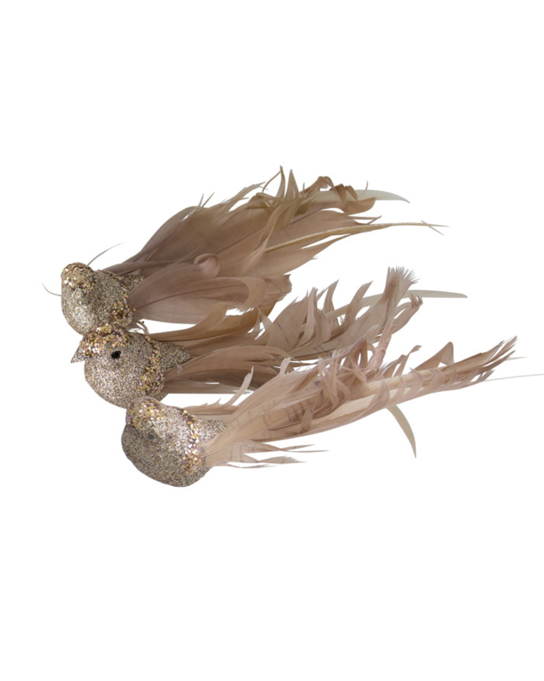 Birds Glitter Champagne with Curly Tail Clip On Three 18cm