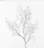 Pick Coral Branch Silver 78cm