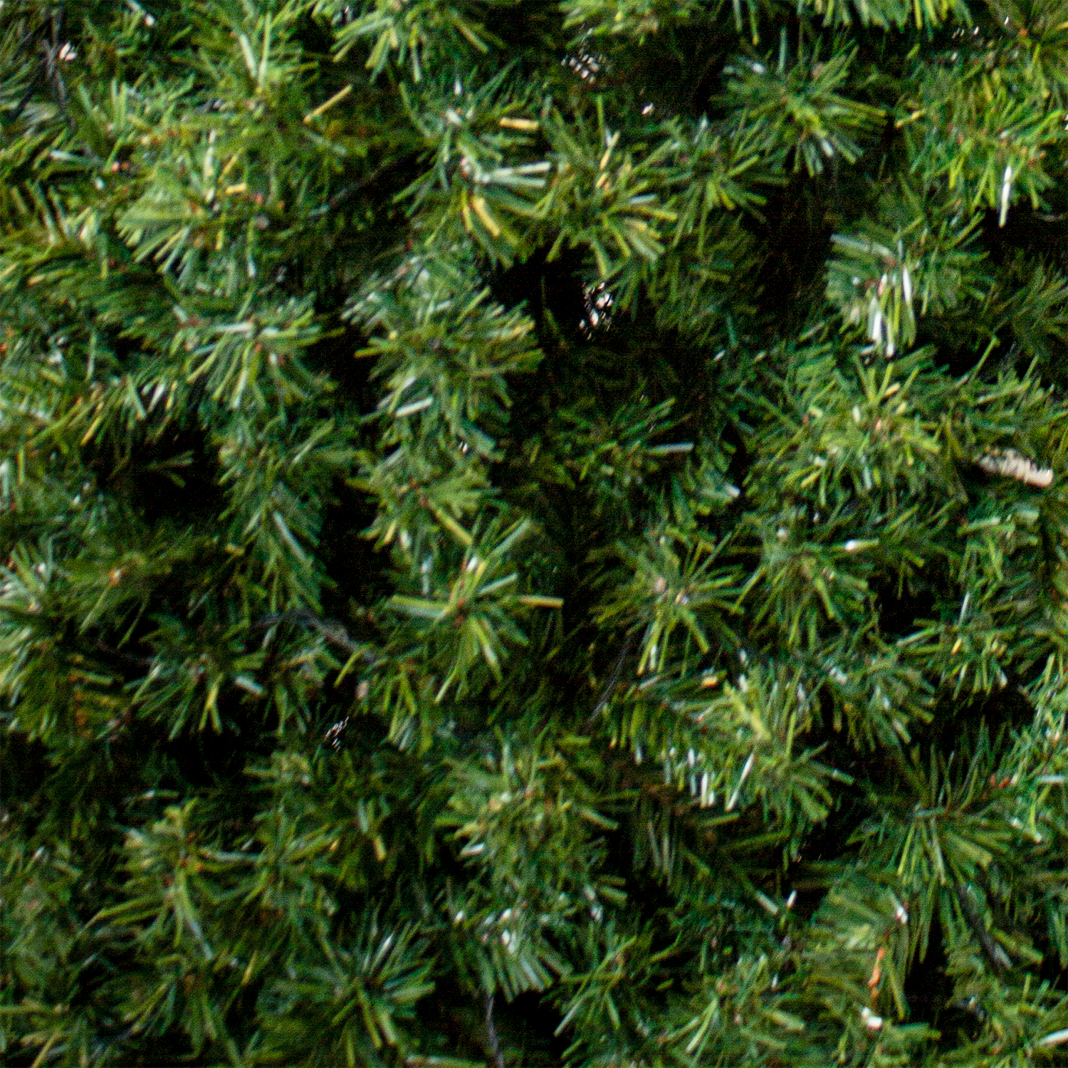 Tree Slimline 2.2m