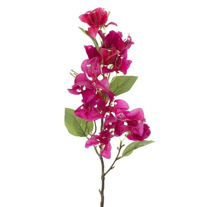 Spray Bougainvillea Fuchshia 75cm - Christmas Decorations Brisbane