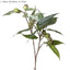 Spray Eucalyptus Gumnut Berry Green 75cm - Christmas Decorations Brisbane