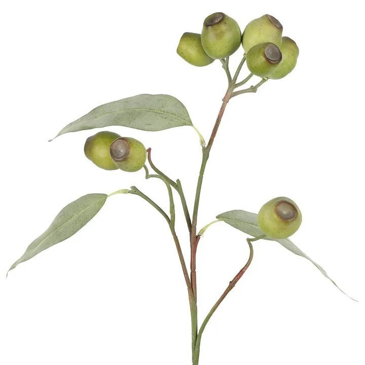 Spray Gumnut Green 65cm - Christmas Decorations Brisbane