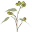 Spray Gumnut Green 65cm - Christmas Decorations Brisbane