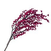 Spray Red Berry Stick