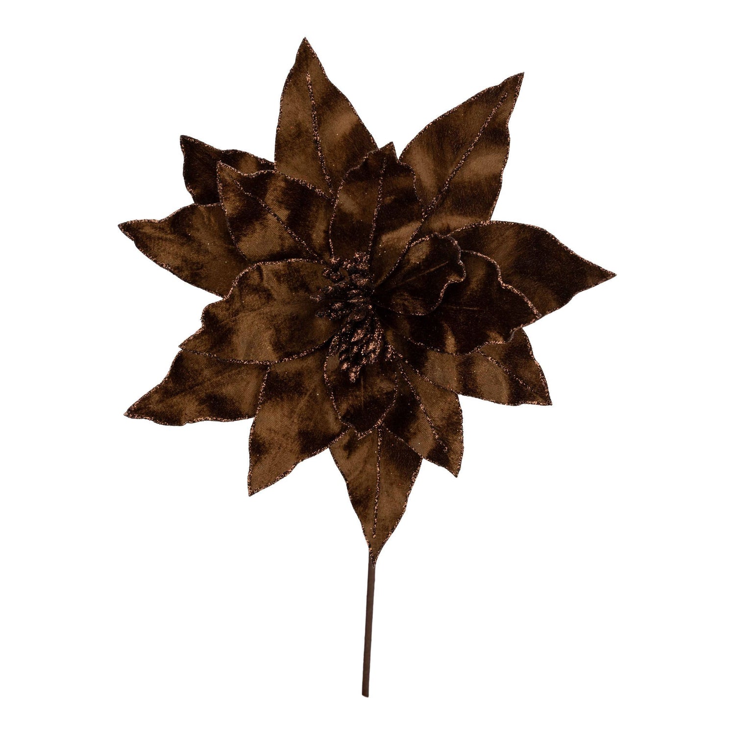 Poinsettia Flower Brown