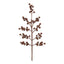 Berry Spray Brown
