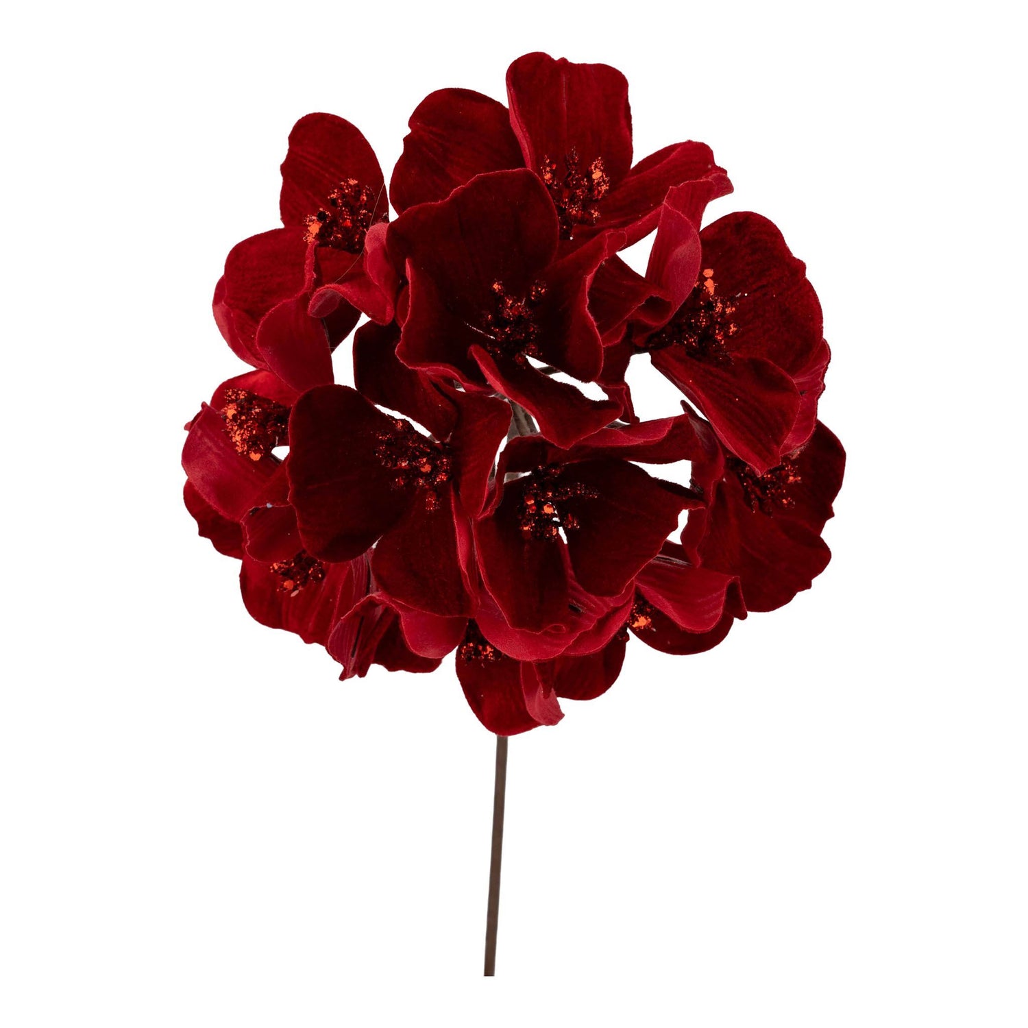 Hydrangea Flower Red
