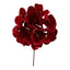 Hydrangea Flower Red