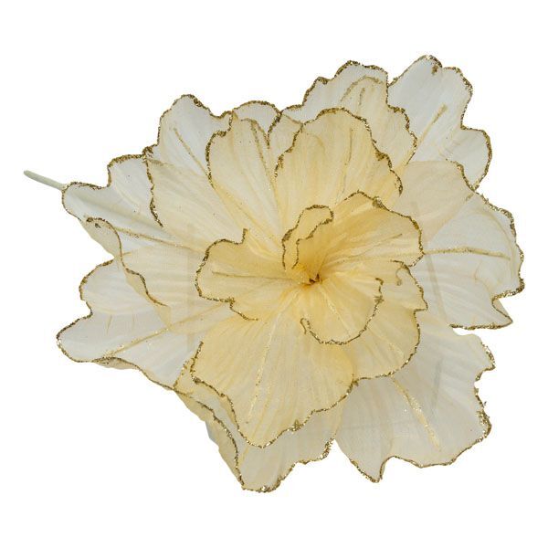 Sheer Flower Champagne with Gold Edge