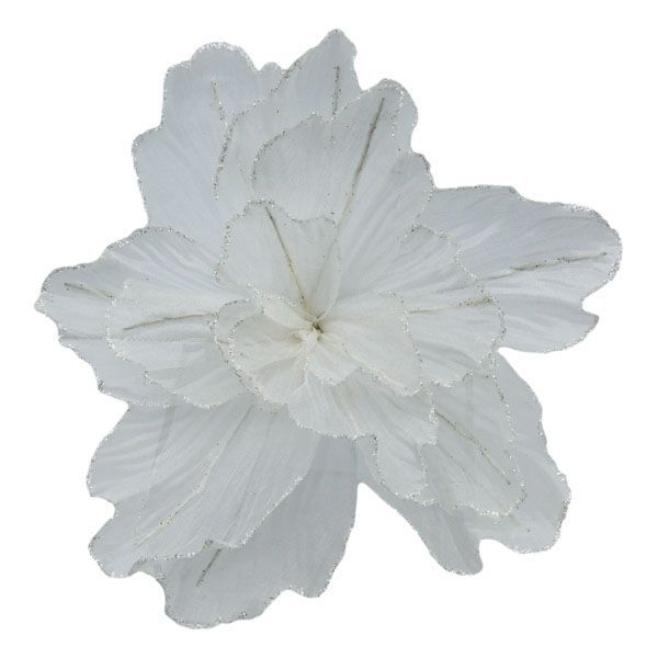 Sheer Flower White with Gold Edge