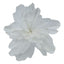 Sheer Flower White with Gold Edge