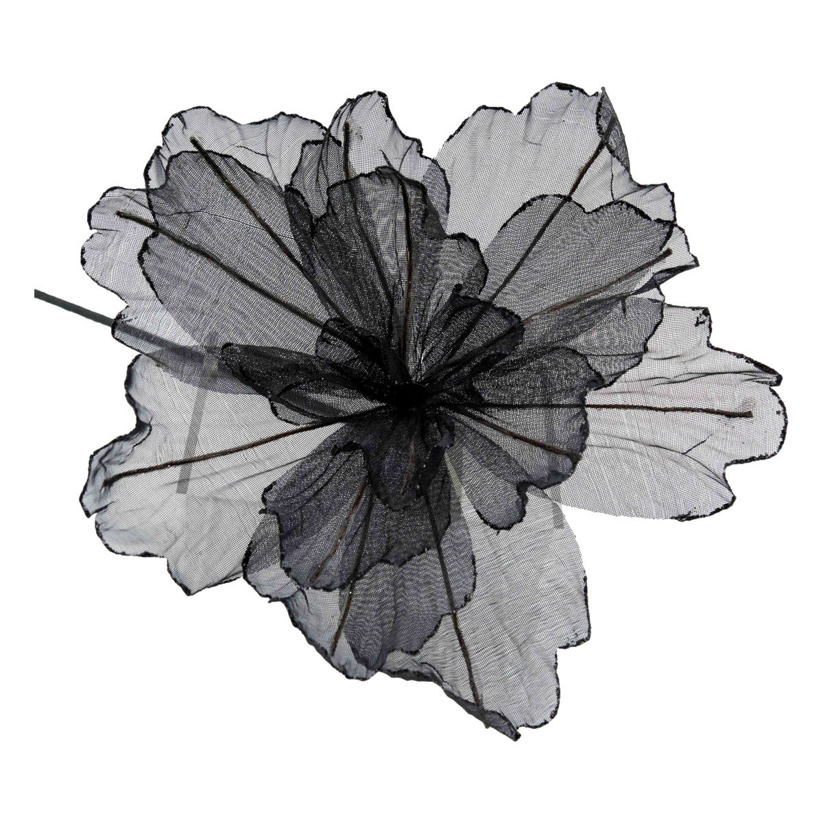 Sheer Flower Black with Gold Edge