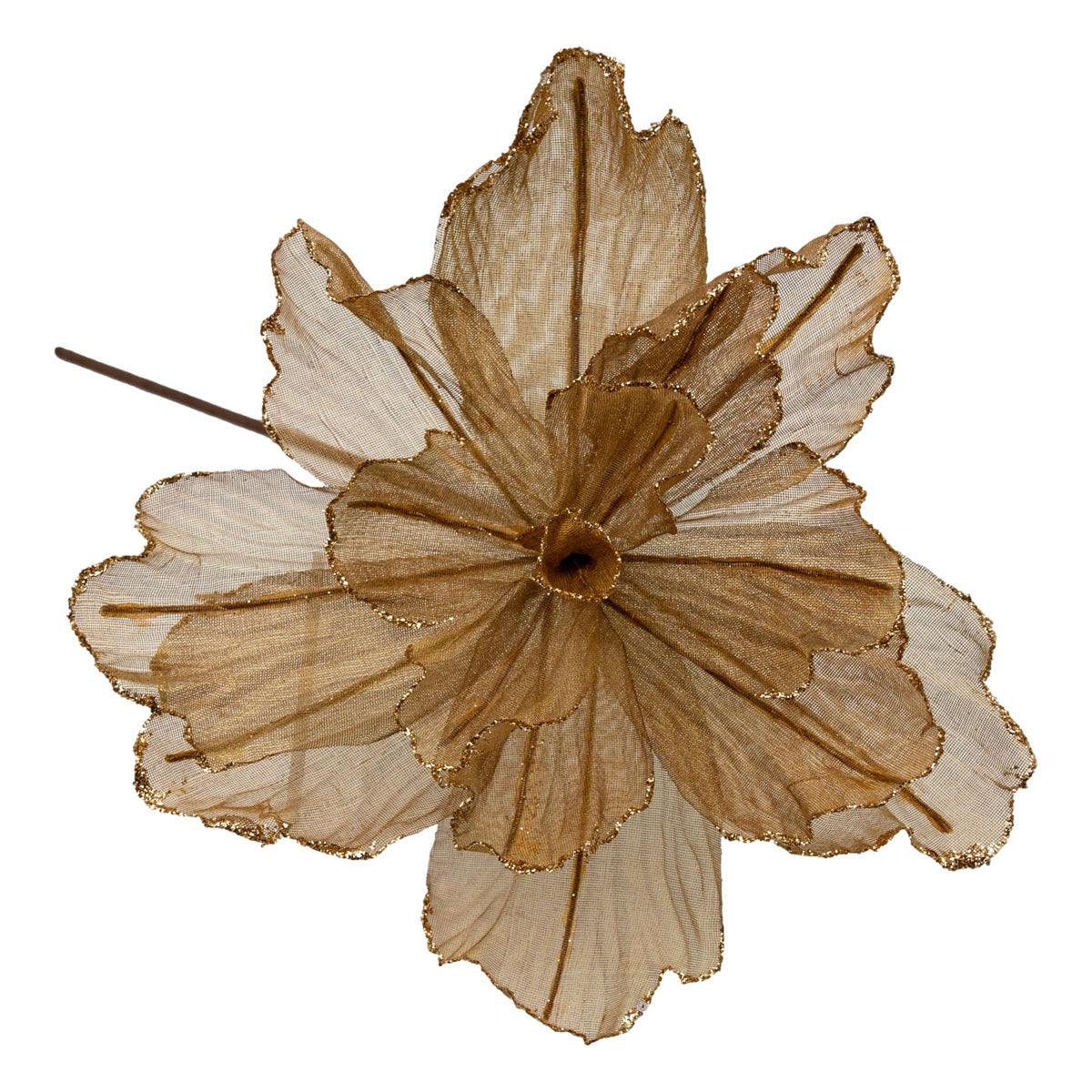 Sheer Flower Taupe with Gold Edge