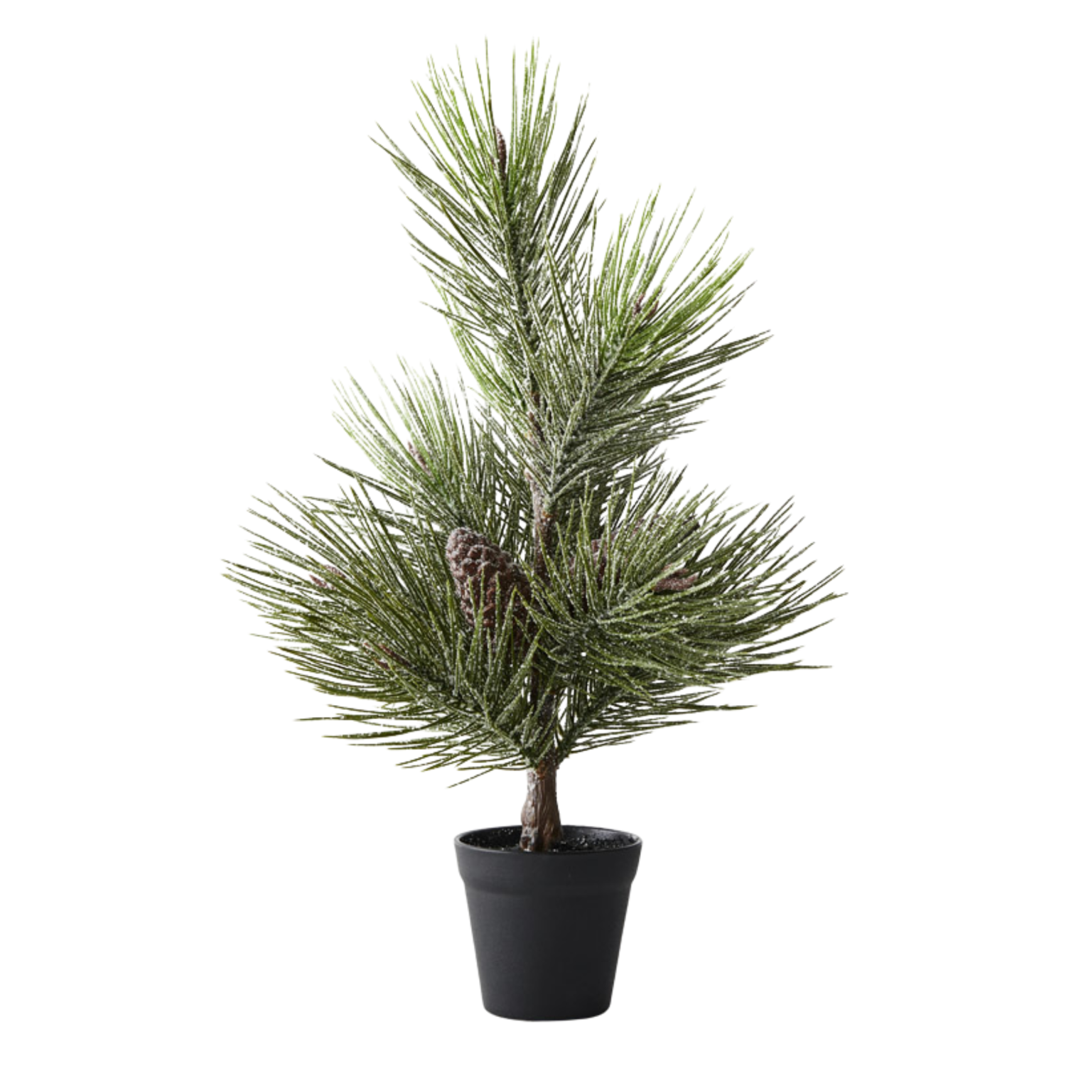 Tree Frosted Pinecone in Pot 35cm