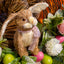 Pink Floral Wreath with Bunny 50cm - Christmas Decorations Brisbane