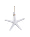 Starfish Hanging White 40cm - Christmas Decorations Brisbane