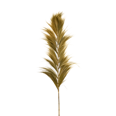 Brush spray Large natural 1.8m