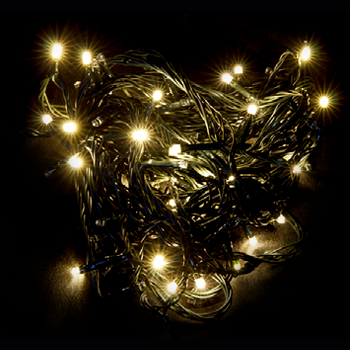 100 warm lights on 10m of green wire