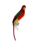 Parrot Red Head with Multicoloured Body 30cm - Christmas Decorations Brisbane