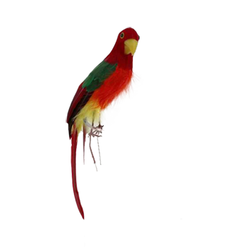 Parrot Red Head with Multicoloured Body 30cm - Christmas Decorations Brisbane