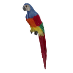 Macaw Blue Head with Multicolour Body 50cm - Christmas Decorations Brisbane