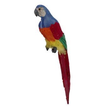Macaw Blue Head with Multicolour Body 50cm - Christmas Decorations Brisbane