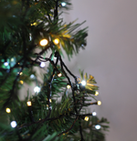 String Light 400 Sparkle - Warm & Cool White Dark Green Cable - Christmas Decorations Brisbane
