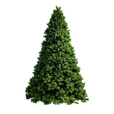 Tree Nordic 3m - Christmas Decorations Brisbane