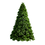 Tree Nordic 3m - Christmas Decorations Brisbane